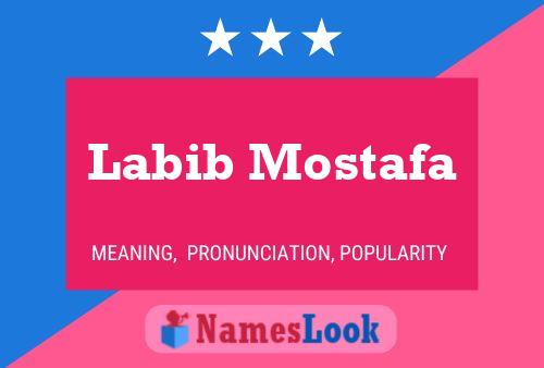 Labib Mostafa Name Poster