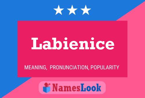 Labienice Name Poster