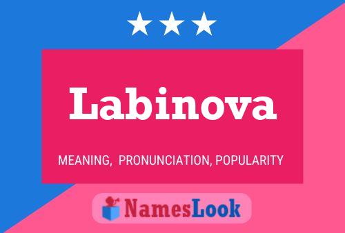 Labinova Name Poster