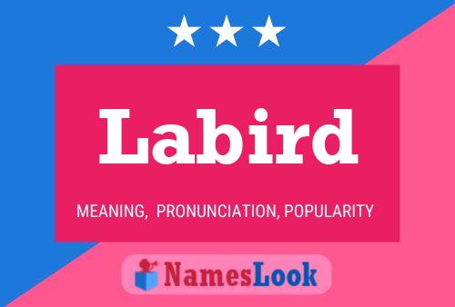 Labird Name Poster