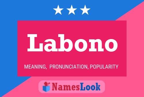 Labono Name Poster