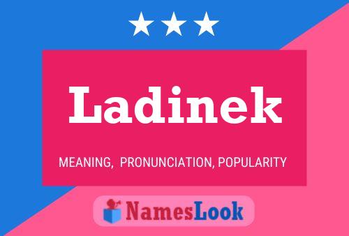 Ladinek Name Poster