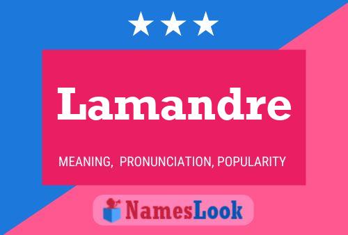 Lamandre Name Poster