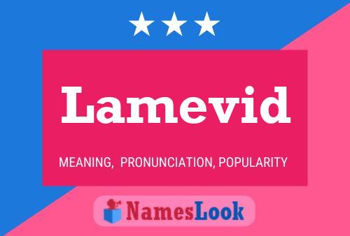 Lamevid Name Poster