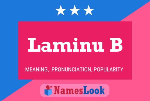 Laminu B Name Poster