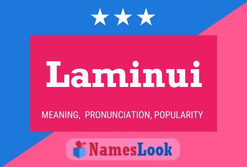 Laminui Name Poster