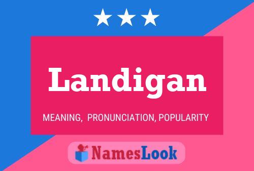 Landigan Name Poster