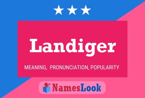 Landiger Name Poster