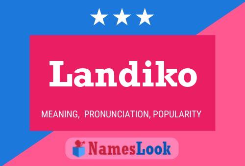 Landiko Name Poster