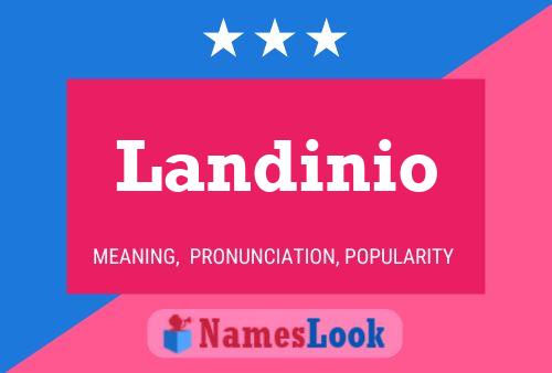 Landinio Name Poster