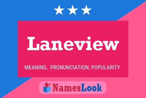 Laneview Name Poster