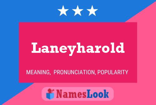 Laneyharold Name Poster