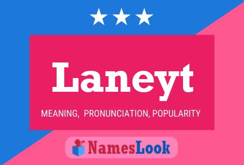 Laneyt Name Poster