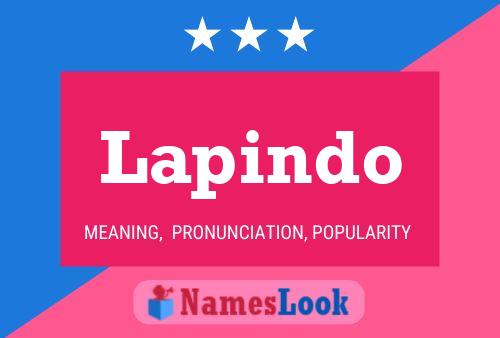 Lapindo Name Poster