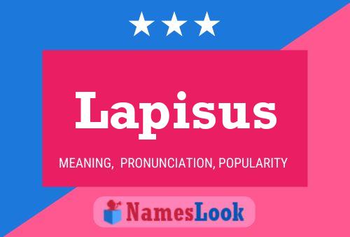 Lapisus Name Poster