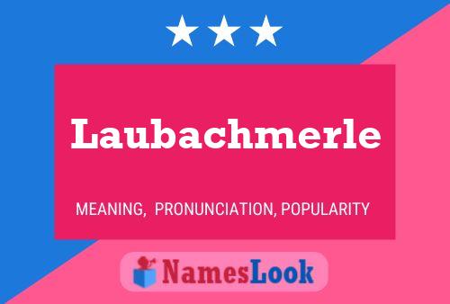 Laubachmerle Name Poster