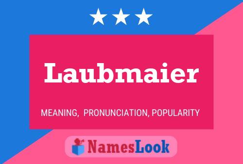 Laubmaier Name Poster