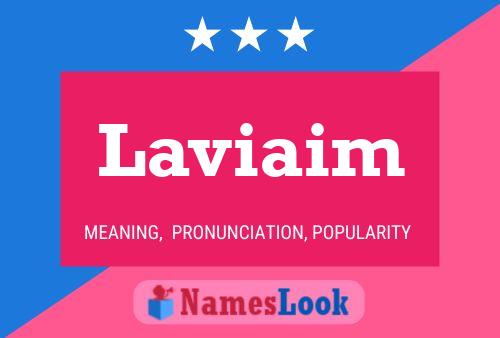 Laviaim Name Poster