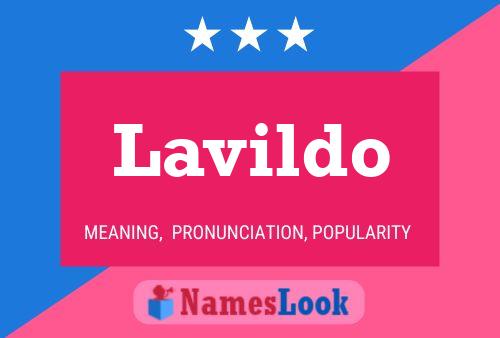 Lavildo Name Poster