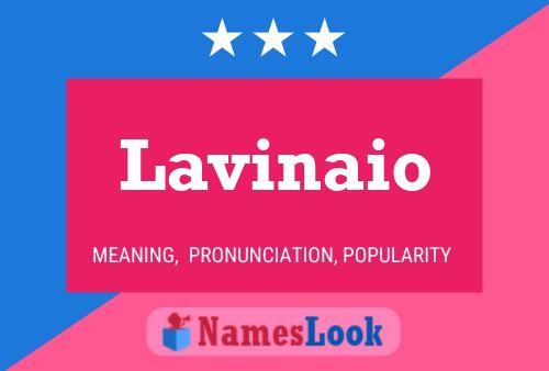 Lavinaio Name Poster