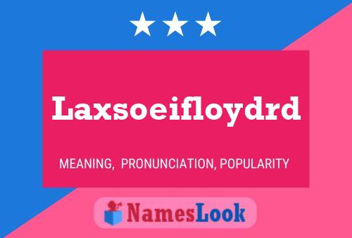 Laxsoeifloydrd Name Poster