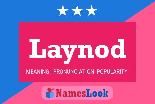 Laynod Name Poster