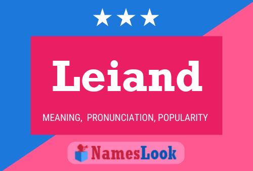 Leiand Name Poster