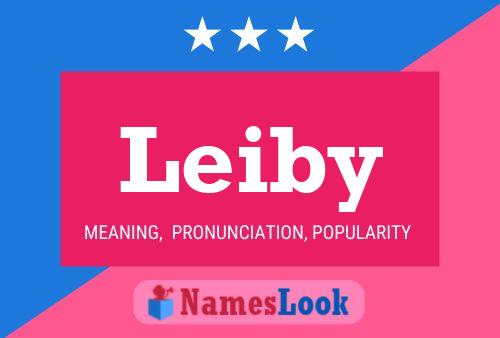 Leiby Name Poster