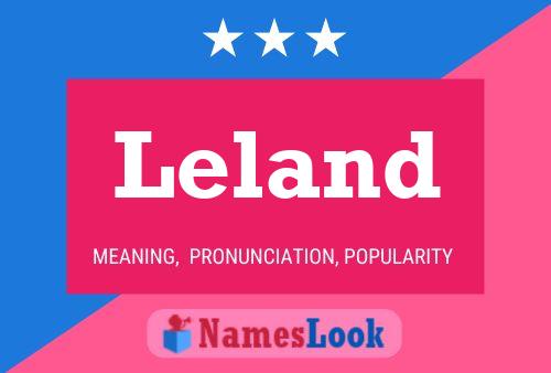 Leland Name Poster