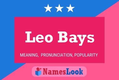 Leo Bays Name Poster