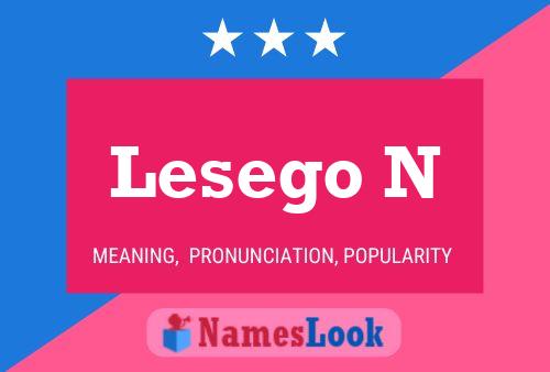 Lesego N Name Poster