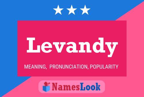 Levandy Name Poster