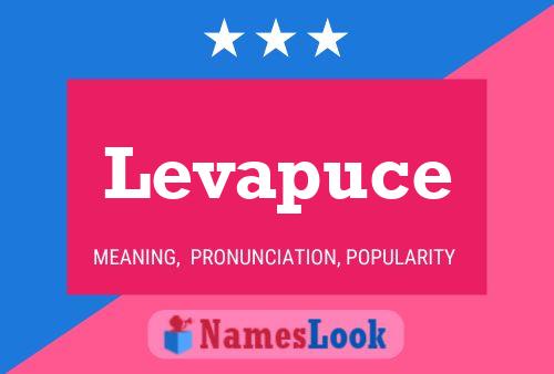 Levapuce Name Poster