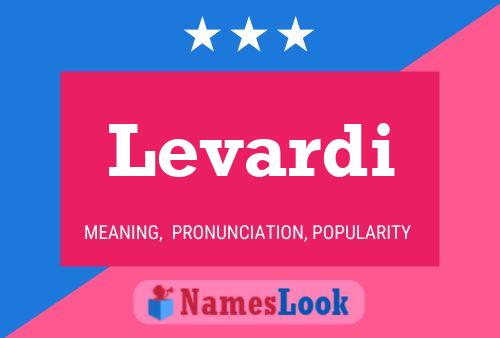 Levardi Name Poster