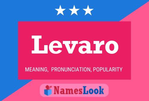 Levaro Name Poster