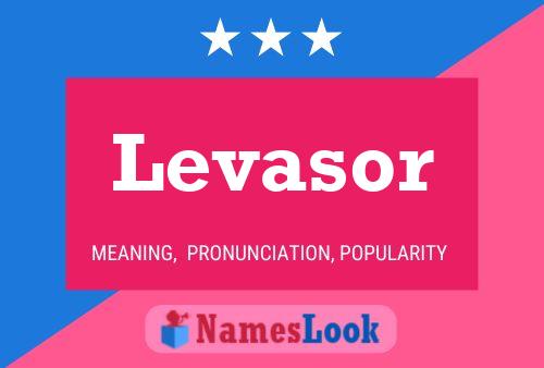 Levasor Name Poster