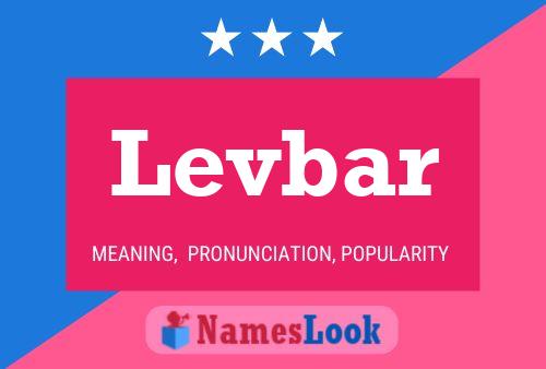 Levbar Name Poster