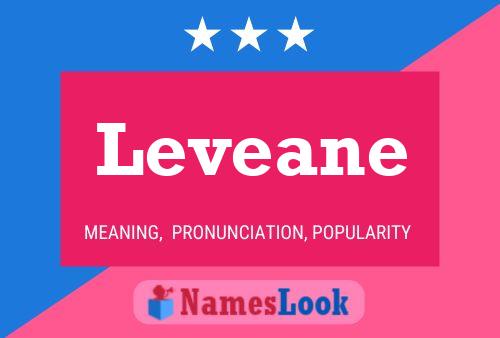 Leveane Name Poster