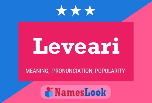 Leveari Name Poster