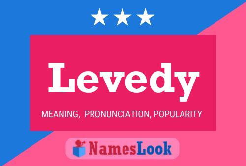 Levedy Name Poster