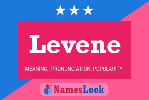 Levene Name Poster