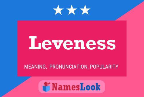 Leveness Name Poster