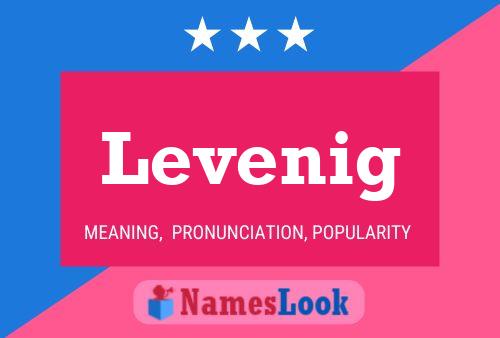 Levenig Name Poster