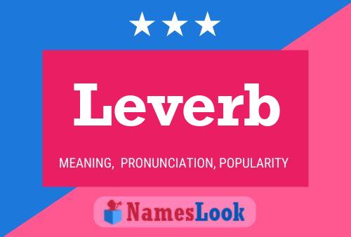 Leverb Name Poster