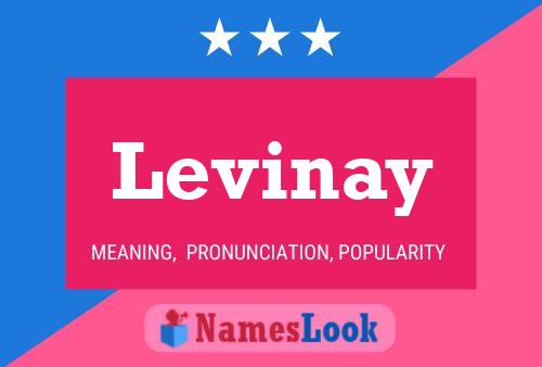 Levinay Name Poster