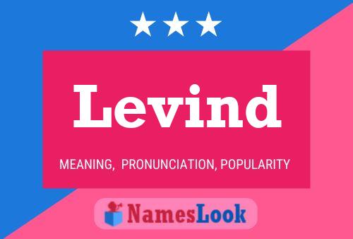 Levind Name Poster