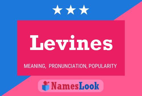 Levines Name Poster