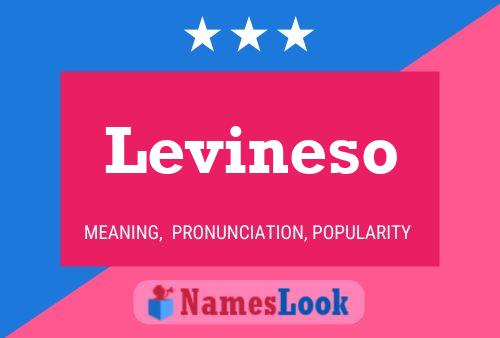 Levineso Name Poster