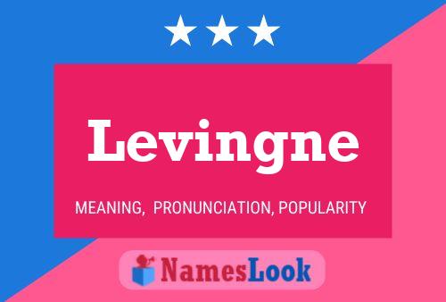 Levingne Name Poster