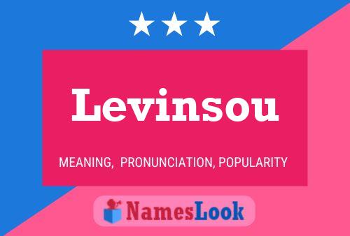 Levinsou Name Poster